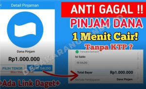 Cara Pinjam Uang di DANA Langsung Cair Tanpa Dana Paylater dan Dana Cicil