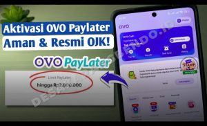OVO PayLater Tidak Muncul? Begini Cara Aktivasi dan Syarat Terbarunya di 2026