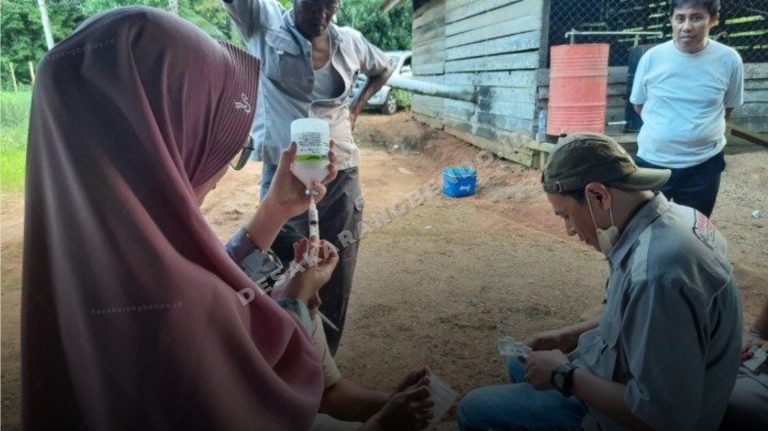 Antisipasi PMK Jelang Ramadan dan Idul Fitri, Dispertan Banyuwangi Distribusikan 19 Ribu Dosis Vaksin
