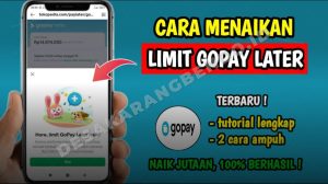 Berapa Maksimal Limit GoPay Later? Ini Rincian dan Cara Menaikkannya