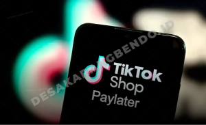 Cara Mencairkan PayLater TikTok ke DANA 2026, Metode Aman dan Risiko yang Jarang Dibahas