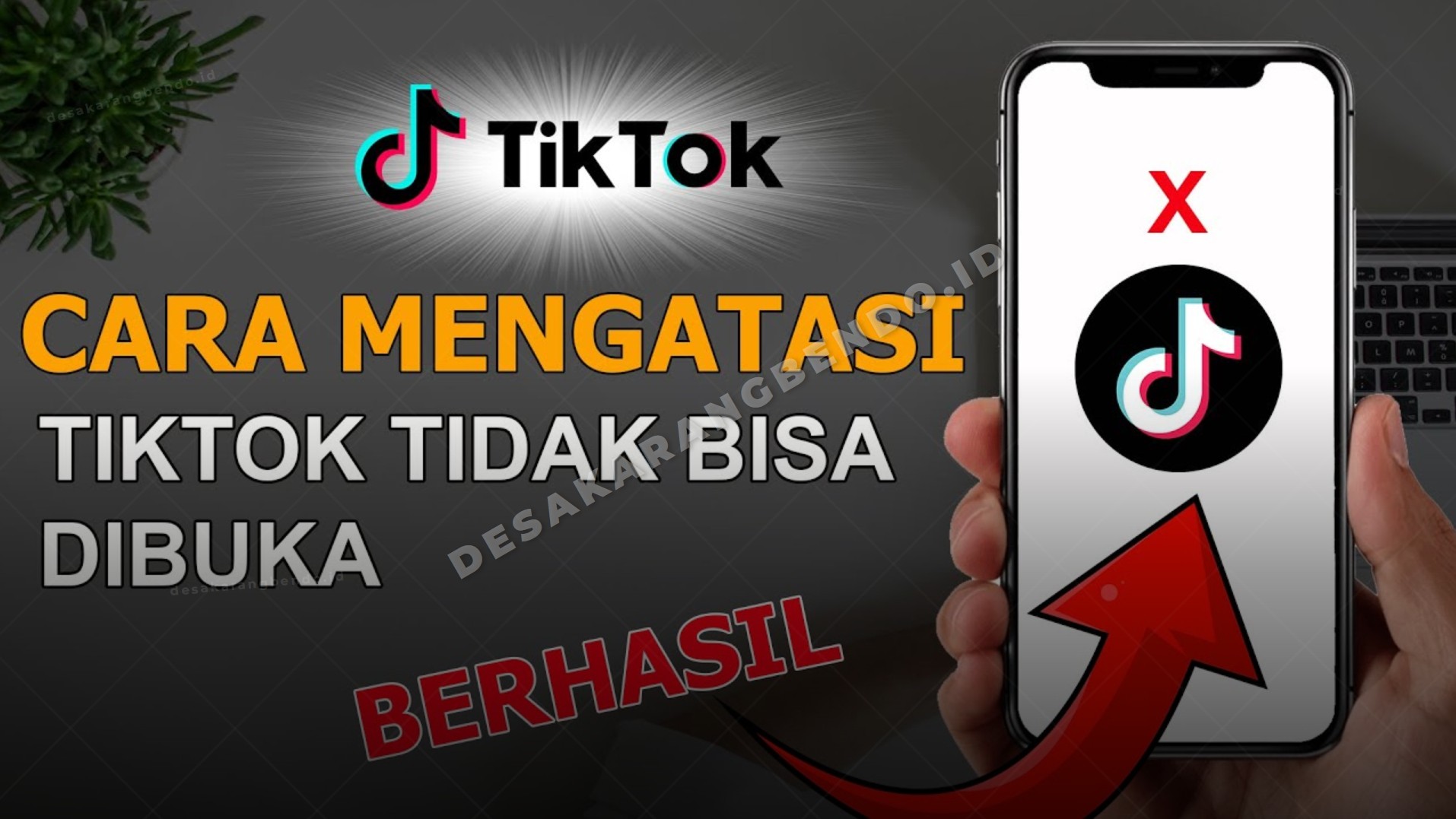Cara Mengatasi Aplikasi TikTok Tidak Bisa Dibuka dan Stuck di Logo