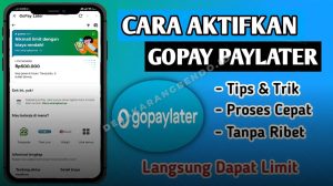 Cara Menonaktifkan GoPay Paylater Permanen dan Sementara, Ini Syarat dan Langkahnya
