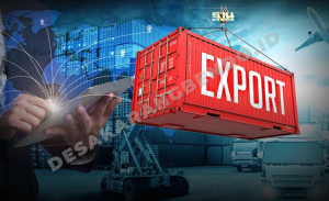 Ingin Produk Tembus Pasar Global? Panduan Lengkap Jadi Eksportir Pemula dari Nol!