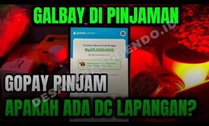 Jangan Panik! Ini Fakta DC Lapangan GoPayLater dan GoPinjam yang Sebenarnya