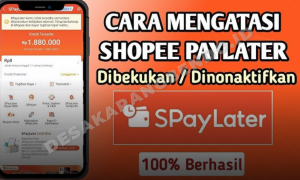 Shopee PayLater Dibekukan Tiba-Tiba, Ini Penyebab Umum dan Cara Mengaktifkannya Kembali